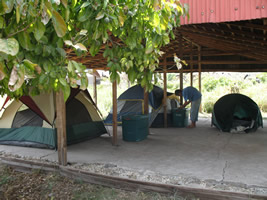 camping at isabela island